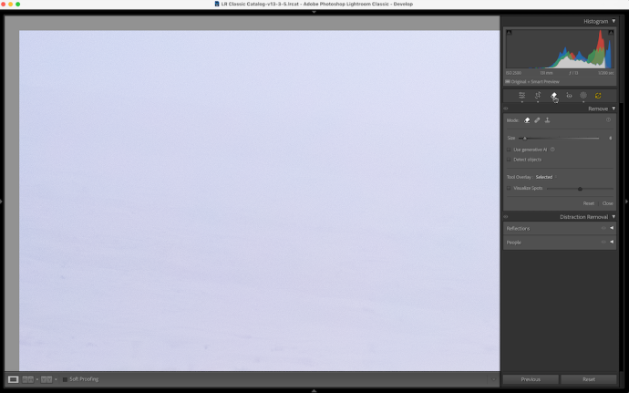 Starting in the upper-left corner of the photo, I hit Page Down (fn+down-arrow on a Mac laptop) to move one screen-width down and systematically search for dust spots.